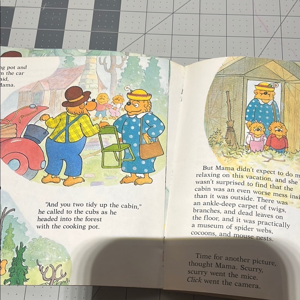 The Berenstain Bears 'Too Much Vacation' Book - Picture 6 of 6